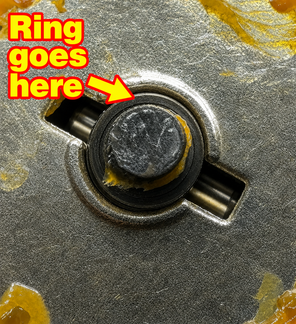Vertex-10 Portal Shim Set STL FILE FREE